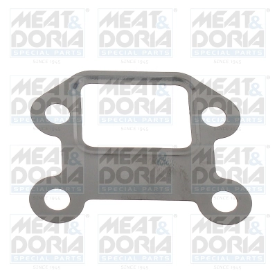 Gasket, EGR valve